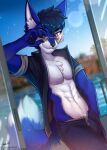  abs adjusting_glasses anthro biped blue_body blue_fur blue_hair blurred_background bottomwear bulge canid canine canis chest_tuft clothed clothing countershade_face countershade_fur countershade_torso countershading detailed_background digital_media_(artwork) dipstick_tail english_text fur hair hi_res inner_ear_fluff jack_(j4ckthew0lf) jacket lens_flare looking_at_viewer male mammal markings multicolored_tail open_clothing open_jacket open_topwear pants pecs shaded signature sky solo son237 swimming_pool tail_markings text topwear tuft water white_body white_countershading white_fur white_inner_ear white_inner_ear_fluff white_tail_tip wolf 