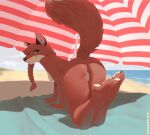  2022 4_toes absurd_res anthro beach breasts butt butt_focus canid canine clothing countershading feet female fox genitals hi_res looking_at_viewer looking_back looking_back_at_viewer mammal noxu nude patricia_mac_sionnach pussy raised_tail sea seaside solo toes umbrella under_shade water 