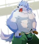  2022 anthro blue_body blue_fur bottomwear bulge canid canine canis clothing domestic_dog eyes_closed fur green_bell hi_res humanoid_hands kemono male mammal pants solo tongue tongue_out underwear 