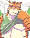  2022 anthro clothed clothing clothing_lift eyewear felid glasses humanoid_hands kemono male mammal misterdonn nipples one_eye_closed orange_body pantherine pink_nose shirt shirt_lift solo tiger topwear white_body 