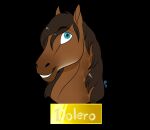  2020 ambiguous_gender blue_eyes brown_body brown_hair brown_mane digital_media_(artwork) dolero english_text equid equine eyebrow_through_hair eyebrows hair horse looking_at_viewer mammal mane name_plate rune7c simple_background smile solo teeth text translucent translucent_hair 