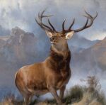  1851 19th_century absurd_res ancient_art antlers brown_body brown_eyes brown_fur cervine cloud deer edwin_henry_landseer fur grass hi_res horn huge_filesize male mammal mountain oil_painting_(artwork) outside painting_(artwork) plant red_deer sky solo traditional_media_(artwork) 