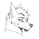  1:1 anthro canid canine canis darkito darkito420 digital_media_(artwork) fur hi_res looking_at_viewer male mammal simple_background smile solo wolf 
