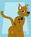  3_fingers absurd_res balls bodily_fluids butt canid canine canis cum cum_in_ass cum_inside doggettdouglasmcdog domestic_dog fingers genital_fluids genitals hand_on_butt hanna-barbera hi_res looking_at_viewer male mammal penis scooby-doo scooby-doo_(series) solo 