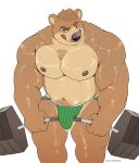  anthro bear hi_res liqui male male/male mammal muscular nastybearz_(artist) solo 