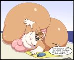  absurd_res anthro balls beach belly big_balls big_belly big_bulge big_butt brown_eyes bulge butt canid canine canis clothing deonwolf dialogue domestic_dog eyewear fur genitals herding_dog hi_res huge_balls huge_bulge huge_butt hyper hyper_balls hyper_bulge hyper_butt hyper_genitalia lotion male mammal nipples one_eye_closed open_mouth panties pastoral_dog pink_clothing seaside smile solo sunglasses tan_body tan_fur theo_(corpulent_corgi) thick_thighs towel underwear welsh_corgi white_body white_fur 