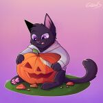  1:1 4_toes anthro black_body black_fur bottomless carving clothed clothing feet felid feline food fruit fur glassshine grass hi_res hoodie hoodie_only jack-o&#039;-lantern knife mammal pink_nose pink_tongue plant pumpkin purple_eyes simple_background solo toes tongue topwear topwear_only 