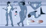  2022 anthro athletic athletic_anthro athletic_male balls biped black_hair blue_body butt derio_(kakhao) digital_media_(artwork) fin fish genitals gills hair hi_res humanoid_genitalia humanoid_penis kakhao male marine model_sheet penis plantigrade red_eyes shark solo tail_fin white_balls white_body 