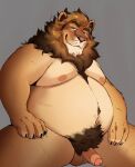  absurd_res anthro areola balls belly big_belly biped doberoo felid fluffy fur genitals hair half-erect hi_res humanoid_hands lion looking_at_viewer low-angle_view male mammal mane moobs navel nipples nude overweight overweight_anthro overweight_male pantherine penis presenting pubes simple_background sitting smile solo spread_legs spreading 