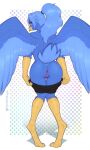 anthro anus avian beak bird blue_body bottomwear bottomwear_down clothed clothing eyewear feathers female genitals glasses hair hi_res looking_at_viewer nude pants pants_down partially_clothed presenting pussy signature simple_background smile solo w4g4 wings 