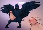  2022 anthro avian balls biped bird blush genitals hanazawa male nude penis purple_eyes sitting solo wings 