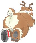  2022 all_fours anthro bear belly big_belly big_butt blush brown_body butt christmas clothing costume feet gayousi7 hi_res holidays kemono mammal overweight simple_background solo 