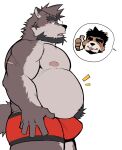  2022 anthro belly big_belly blush bulge canid canine clothing hi_res kemono male mammal moobs nipples overweight overweight_male scar solo tongue tongue_out underwear whitebeast20 