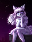  absurd_res alice_destiny anthro arctic_fox canid canine city city_background fapchop female fox hi_res mammal night rooftop shooting_star sky solo star starry_sky 