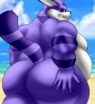  anthro belly big_belly big_butt big_ears big_the_cat butt camp14 chubby_anthro chubby_male domestic_cat felid feline felis fluffy fluffy_tail hand_on_butt hi_res looking_at_viewer male mammal nipples sega smile smirk solo sonic_the_hedgehog_(series) 