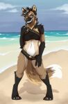  absurd_res anthro beach canid canine clothing female hi_res karidas_(rexroyale) mammal maned_wolf seaside shilohyeen solo swimwear 