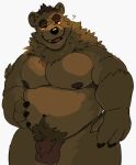  2022 anthro balls bear belly big_belly brown_body genitals kyutka3 male mammal moobs nipples overweight overweight_male penis solo 