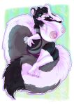  absurd_res anthro big_breasts big_tail breasts female fur girly hi_res mammal mephitid multicolored_body multicolored_fur nipples skunk unknown_artist 