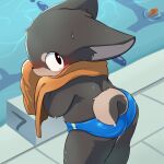  blue_clothing blue_speedo blue_swimwear bodily_fluids butt canid canine canis clothing curling_tail domestic_dog hi_res kemono looking_back mammal moketiw speedo swimming_pool swimwear towel towel_around_neck water_drip wiping_face young 
