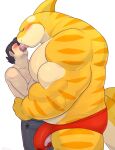  anthro big_muscles big_pecs blush bodily_fluids brown_hair clothed clothing deep_kiss duo embrace erection erection_under_clothing eyes_closed fin fish french_kissing genital_fluids gills hair hi_res hug human human_on_anthro interspecies kissing larger_anthro larger_male male male/male mammal marine multicolored_body muscular muscular_anthro muscular_male nipples pecs precum precum_through_clothing requiem_shark romantic romantic_couple same22shark shark shirtless size_difference smaller_human smaller_male speedo striped_body stripes swimwear tiger_shark wet wet_clothing white_body yellow_body 