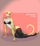  anthro brown_eyes clothing david_kr. felid feline female fur hi_res legwear light_clothing looking_at_viewer mammal solo thigh_highs white_body white_fur yellow_body yellow_fur 