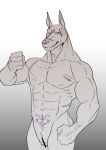  abs andromorph anthro blush canid canine canis cl&iacute;toris dobermann domestic_dog embarrassed genitals hi_res intersex male mammal muscular muscular_andromorph muscular_arms muscular_intersex navel pecs pinscher pussy seitora solo standing womb_tattoo 