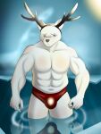  anthro bear belly big_penis blush boxers_(clothing) bulge chest_(disambiguation) clothed clothing digital_media_(artwork) fur genitals hi_res humanoid humanoid_hands ice looking_at_viewer male male/male mammal monarch_com moobs muscular nude partially_clothed penis polar_bear reflection reindeer_antlers simple_background solo underwear ursine water white_body white_fur 