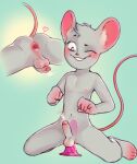  &lt;3 anal anal_masturbation anal_penetration animal_humanoid anthro anus blush bodily_fluids butt cum dildo dildo_in_ass dildo_insertion dildo_sitting ejaculation emellond foreskin fur gaping gaping_anus genital_fluids genitals grey_body grey_fur hairless_tail hi_res humanoid looking_down looking_pleasured lube lube_drip lube_in_ass lube_on_dildo lube_on_sex_toy male male_penetrating mammal mammal_humanoid masturbation miki_mokk mouse mouse_humanoid murid murid_humanoid murine murine_humanoid nipples object_in_ass penetration penis pink_anus pink_ears pink_fingers pink_nipples pink_nose pink_tail rat rear_view rodent rodent_humanoid sex_toy sex_toy_in_ass sex_toy_insertion simple_background smile smirk solo solo_focus spread_legs spreading xray_view 