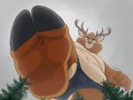  anthro bear deer dj-rodney duo feet foot_focus forest hooves looking_at_viewer looking_down macro male mammal micro paws plant stuck_to_foot tree 