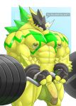  absurd_res anthro balls bandai_namco bulkmon digimon digimon_(species) dumbbell genitals hi_res humanoid looking_at_viewer male muscular muscular_male nipple_piercing nipples pecs penis piercing solard0gg0 solo vein veiny_muscles veiny_penis weights 