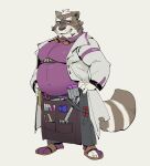  2022 absurd_res anthro belly big_belly bluecard clothed clothing hi_res lifewonders live-a-hero male mammal overweight overweight_male procyonid raccoon shirt simple_background solo topwear viscunam 