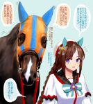  1girl 1other animal_ears bangs beret blunt_bangs braid brown_hair creature_and_personification fantomyu hat highres hokko_tarumae_(racehorse) hokko_tarumae_(umamusume) horse horse_ears horse_girl light_blue_background long_hair looking_at_another looking_at_viewer multicolored_hair purple_eyes real_life sailor_hat simple_background translation_request twin_braids two-tone_hair umamusume 