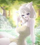  alice_destiny anthro arctic_fox blue_eyes canid canine female fox hi_res hot_spring irushi000 mammal plant rock smile solo towel tree water wave 