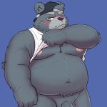  1:1 2022 anthro bear belly big_belly blush clothed clothing clothing_lift cute_fangs genitals hat headgear headwear hi_res humanoid_hands kemono male mammal moobs navel nipples overweight overweight_male penis sangguri_32 shirt shirt_lift simple_background solo topwear 