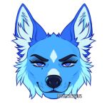  1:1 alpha_channel anthro artist_name black_nose blue_body blue_eyes blue_fur canid cheek_tuft closed_smile eyelashes facial_tuft female front_view fur glistening glistening_eyes head_tuft headshot_portrait inner_ear_fluff looking_at_viewer low_res mammal mouth_closed narrowed_eyes portrait rayliicious simple_background solo transparent_background tuft white_inner_ear_fluff 
