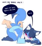  a78087653 anthro blue_body blue_fur blush butt butt_grab fan_character female fluffy fluffy_tail fur hair hand_on_butt korean_text long_hair looking_back male male/female red_eyes simple_background solo text thick_thighs white_body white_fur 