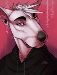  2017 anthro black_clothing black_eyebrows black_hoodie black_nose black_topwear blue_eyes bust_portrait canid canine canis clothed clothing dated domestic_dog ear_piercing eyebrows front_view fur gauged_ear glistening glistening_eyes hair hi_res hoodie male mammal mouth_closed piercing portrait riorix signature simple_background solo topwear white_body white_fur white_hair 