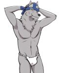  anthro asian_clothing bandanna black_nose blue_bandanna blue_kerchief bulge clothed clothing east_asian_clothing fundoshi fundoshi_only fur grey_body grey_fur hands_behind_head japanese_clothing kerchief male navel open_mouth simple_background smile solo teeth_showing the_boy_and_the_beast thegreatmatsutzu toothpick topless underwear underwear_only white_background white_clothing white_fundoshi white_underwear 
