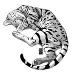  1:1 abouteang absurd_res ambiguous_gender bengal_cat domestic_cat eyes_closed felid feline felis feral hi_res mammal monochrome pawpads paws quadruped simple_background sleeping solo white_background 