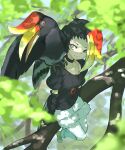  1girl animal animal_on_shoulder bird bird_girl bird_on_shoulder bird_tail bird_wings black_hair blonde_hair blue_eyes blurry blurry_foreground branch choker closed_mouth dappled_sunlight day don3 fingerless_gloves full_body gloves head_wings in_tree jewelry kemono_friends leaf looking_at_another multicolored_hair outdoors pantyhose pantyhose_under_swimsuit pendant red_hair rhinoceros_hornbill_(kemono_friends) shirt shoes short_sleeves shorts sitting sitting_in_tree smile sunlight swimsuit tail tree white_pantyhose wings 