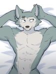  2022 abdominal_tuft abs anthro beastars bed biceps black_nose canid canine canis cheek_tuft collarbone countershade_torso countershading eye_scar facial_scar facial_tuft furniture grey_fut half-length_portrait hands_behind_head hi_res jrjresq legoshi_(beastars) looking_aside lying male mammal muscular muscular_anthro muscular_male navel on_back on_bed pecs portrait scar shaded_background simple_background solo trapezius tuft v-cut white_background wolf 