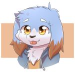  1:1 anthro black_nose blep blue_body blue_clothing blue_fur blue_jacket blue_topwear brown_body brown_fur bust_portrait canid cheek_tuft chest_tuft clothed clothing facial_tuft floppy_ears fur glistening glistening_eyes hi_res jacket kewkungzn male mammal orange_clothing orange_eyes orange_topwear portrait red_tongue simple_background solo tongue tongue_out topwear tuft unsigned white_body white_fur 