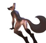  2022 all_fours anthro anus biped black_body black_fur breasts brown_body brown_fur butt canid canine canis digital_media_(artwork) discreet_user domestic_dog female fur genitals gloves_(marking) hi_res looking_back mammal markings multicolored_body multicolored_fur pink_anus pussy simple_background solo white_background white_body white_fur 