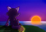  absurd_res chilling cliff_side digital_media_(artwork) furry_oc glowing glowing_markings glowing_tail glowing_tail_tip grass hi_res impim markings night_sky plant rear_view reflection sea signature sitting_on_cliff soniclux sonicluxhedgeman star sun sunset vibing water watermark 