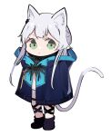  1girl animal_ear_fluff animal_ears bangs cat_ears cat_girl cat_tail commentary_request dress expressionless full_body green_eyes grey_hair hood hood_down jacket long_hair looking_at_viewer rosmontis_(arknights) simple_background solo tail tetuw white_background 