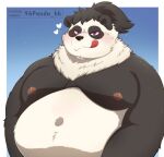  2022 96panda absurd_res anthro bear black_body black_nose blush giant_panda hi_res kemono male mammal moobs nipples overweight overweight_male solo tongue tongue_out white_body 