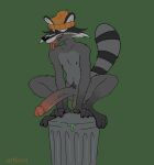  absurd_res anthro balls beanie clothing comical erection genitals glans hat headgear headwear hi_res male mammal nipples penis procyonid pubes raccoon rattfood saggy_balls solo tongue tongue_out toony trash_can 