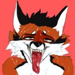  ahegao ambiguous_fluids anthro black_hair black_nose bodily_fluids brown_eyes canid canine cum cum_in_mouth cum_inside cum_on_body cum_on_face cum_on_tongue fox fur genital_fluids hair hi_res looking_pleasured male mammal multicolored_body multicolored_fur red_body red_fox red_fur redrick_(erickredfox) simple_background smile smiley_face smiling_at_viewer solo teeth teeth_showing tongue tongue_out two_tone_body two_tone_fur unknown_artist white_body white_fur 