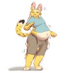  ambergate anthro belly belt big_belly clothing el expansion felid feline fluffy fur hi_res ineffective_clothing male mammal moobs overweight overweight_male serval simple_background solo spots spotted_body spotted_fur surprised_expression torn_clothing weight_gain yellow_body 