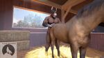  3d_(artwork) animated anthro bestiality detailed_background digital_media_(artwork) duo equid equine female feral from_behind_position happy horse inside luciamaribela male male/female mammal sex source_filmmaker standing standing_sex the_cathouse_tale 